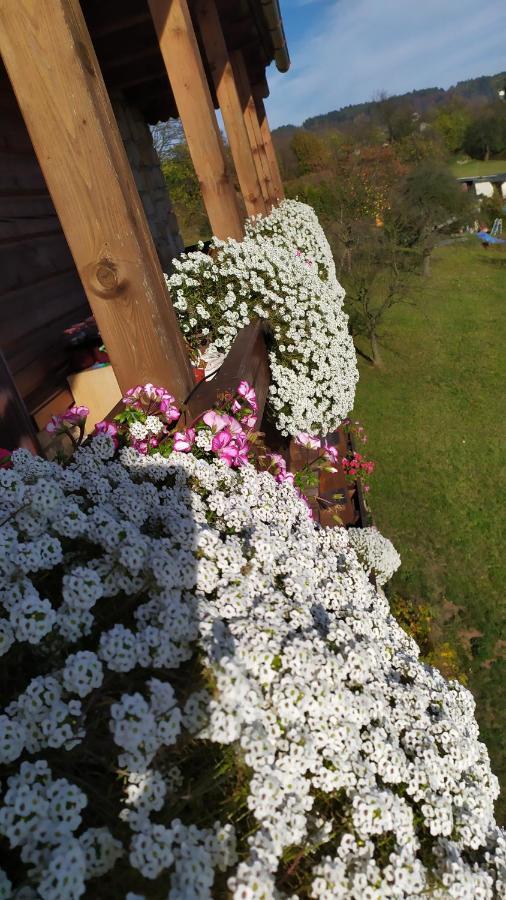 Ferienwohnung Roubenka Červený Kostelec Exterior foto